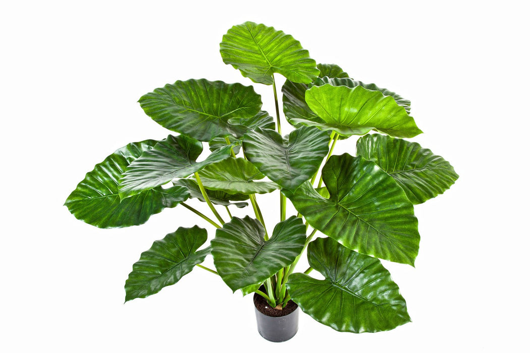 Kunstplant Alocasia Calidora Bush 75 cm