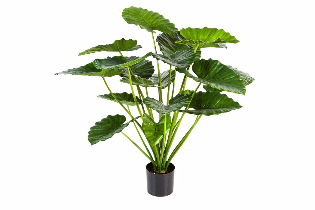 Kunstplant Alocasia Calidora Bush 75 cm