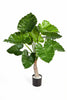 Kunstplant Alocasia Calidora 80 cm
