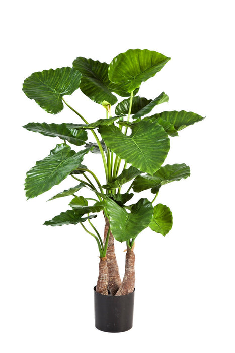 Kunstplant Alocasia Calidora 80 cm