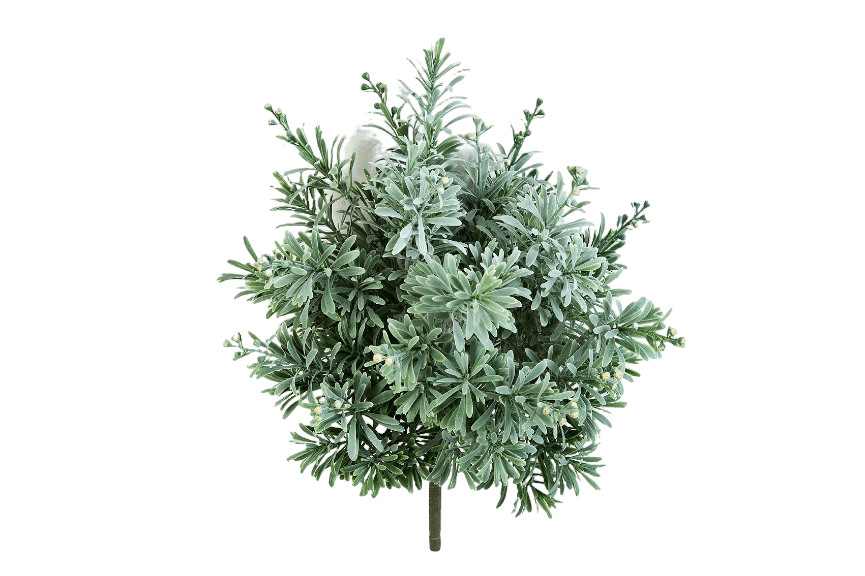 Kunstplant Crossostephium Bush 38 cm