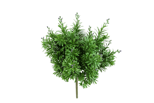 Kunstplant Crossostephium Bush Berrie 38 cm
