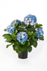 Kunstplant Hydrangea Deluxe Blue 53 cm