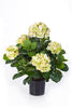 Kunstplant Hydrangea Deluxe Yellow 53 cm